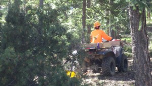 10929040_777324169009900_8223859658559003795_o