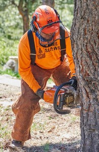 11412425_851605968248386_4015039221112890409_n