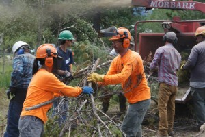 11870753_892819134127069_8417182223906763474_n