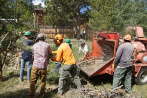 11880522_892818767460439_3514411378217486374_n