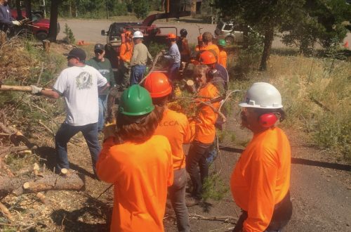 Saws and Slaws Getting It Done